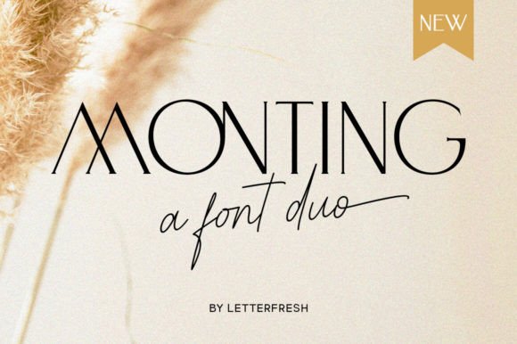 Monting Duo: A Luxury Font Pairing for Modern Design